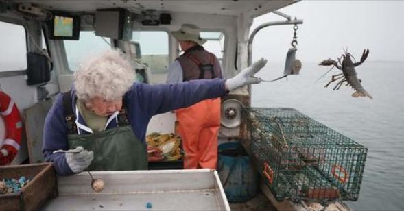 101 vjeçarja vijon të punojë në barkën e arragostave, pa plane për të dalë në pension (VIDEO)