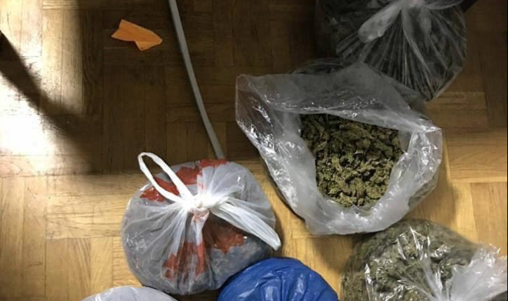 Konfiskohen 17 kg marihuanë, arrestohen dy zyrtarë për korrupsion