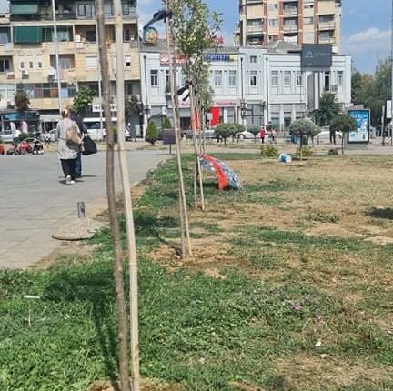 Ballistët mbjellin 14 drunjë për 14 viktimat në Tetovë (FOTO)