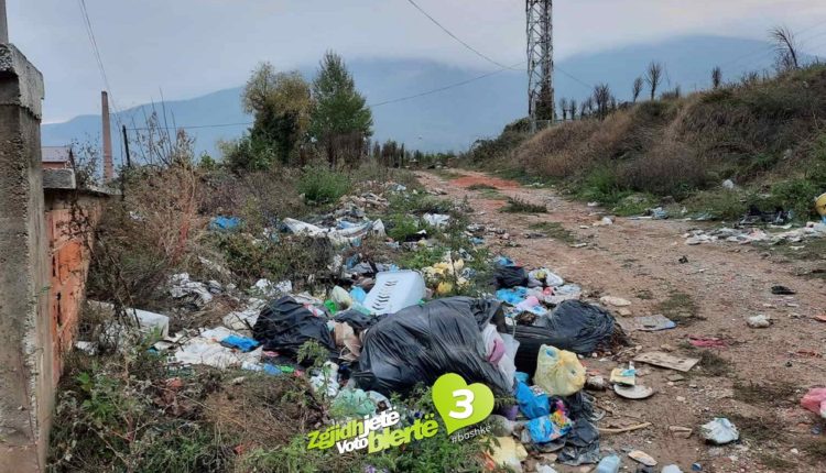 BDI: Gostivari i mbërthyer nga mbeturinat, Rusino-5 në lagjen Tullana