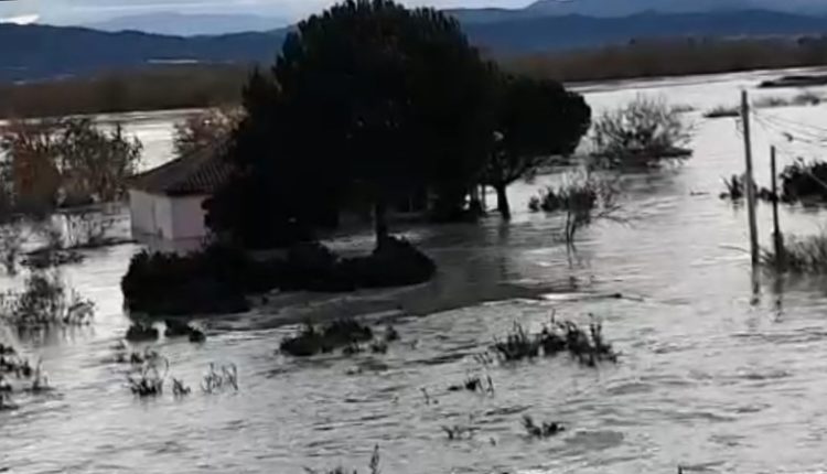 Lumi Vjosa del nga shtrati, përmbyten shtëpitë në fshatin Fitore