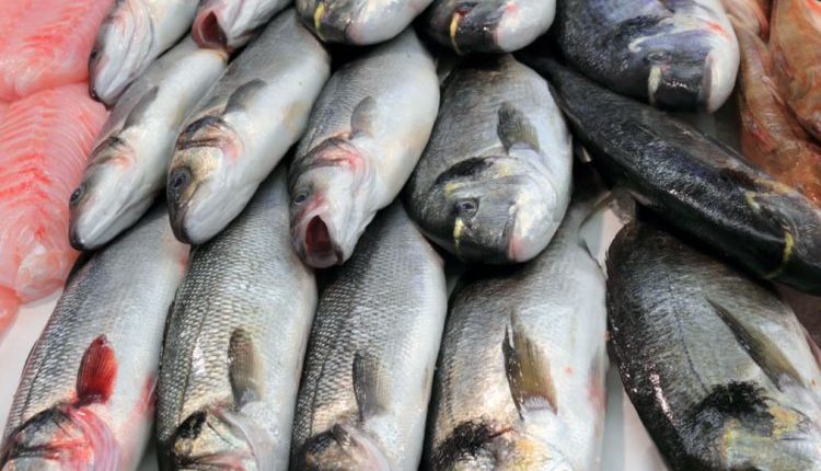 Sekuestrohen 30 kilogramë peshk të një shtetasi shqiptar
