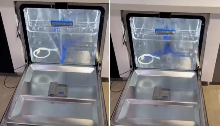 Një përdorues i TikTokut tregon procesin e pastrimit të enëve brenda enëlarëses – pamjet bëhen virale (VIDEO)