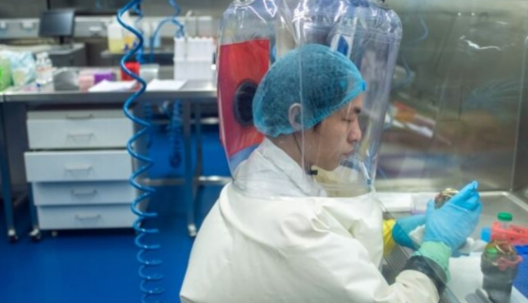 Zbulohet një tjetër virus i rrezikshëm në Kinë