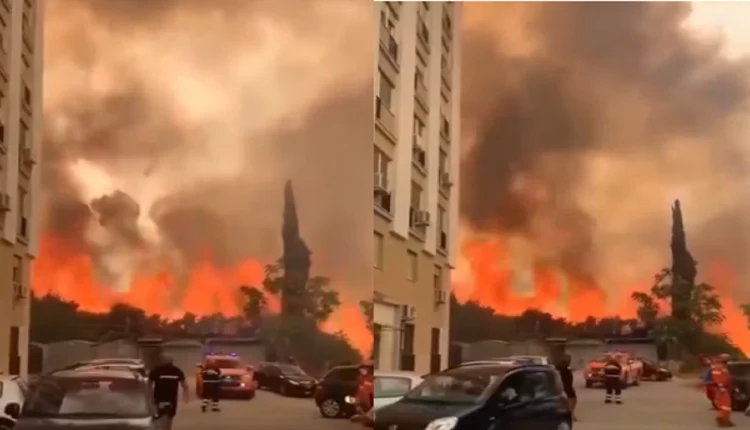 Palermo rrethohet nga zjarre masive, rrezikohen dhjetëra banesa (VIDEO)