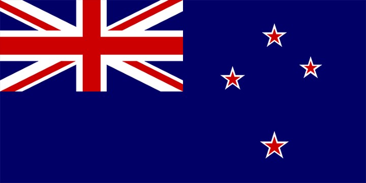 Nisi si shaka, Zelanda e Re pothuajse u shit në internet për 3 mijë dollarë