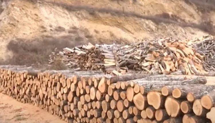 RMV: Çmimi për një metër kub dru për ngrohje arrin në 5.300 denarë