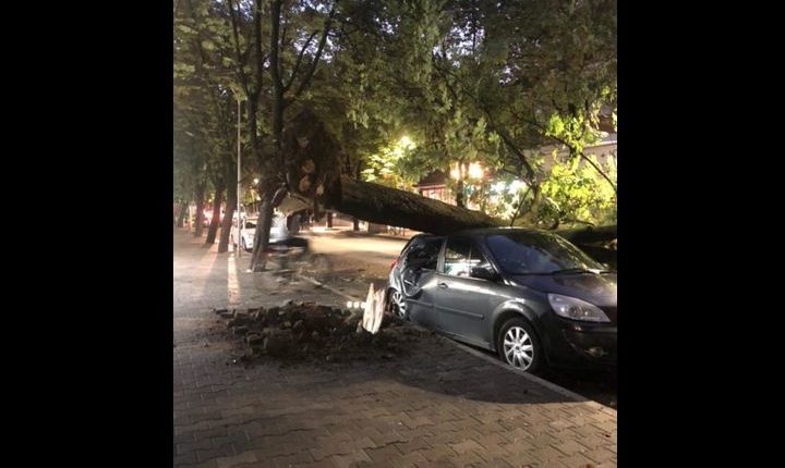 Era e fortë rrëzon pemën mbi një makinë në Tiranë