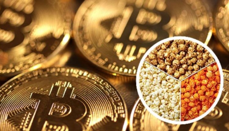 OMG/ Gjendet Bitcoin me vlerë 3.3 miliardë dollarë brenda një kanaçeje kokoshkash
