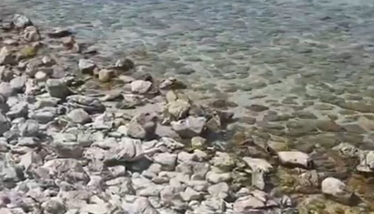 Një grua gjendet e vdekur në liqenin e Prespës
