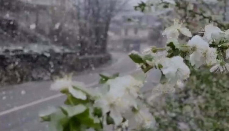 “Ciklon, përmbytje, stuhi bore” – Paralajmërime për mot të keq në Maqedoni dhe rajon