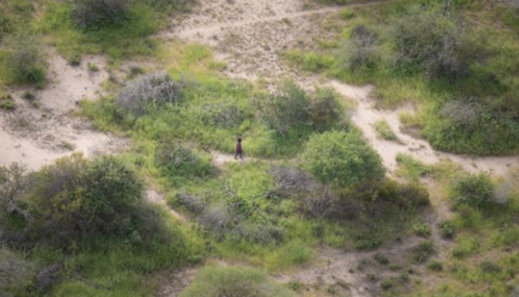 Djali 4 vjeç, arrin të mbijetojë 6 ditë mes ‘hienave dhe çakejve’ në shkretëtirën afrikane