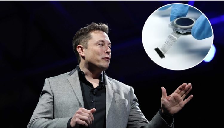 Si funksionon dhe sa i sigurt është çipi i trurit i projektuar nga Elon Musk?