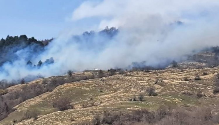 Shpërthen zjarr në malin e fshatit Bogovinë