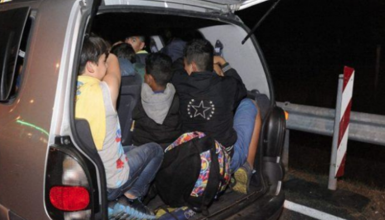 Kapen 20 emigrant në rrugën Gjevgjeli-Shkup, shoferi është arratisur