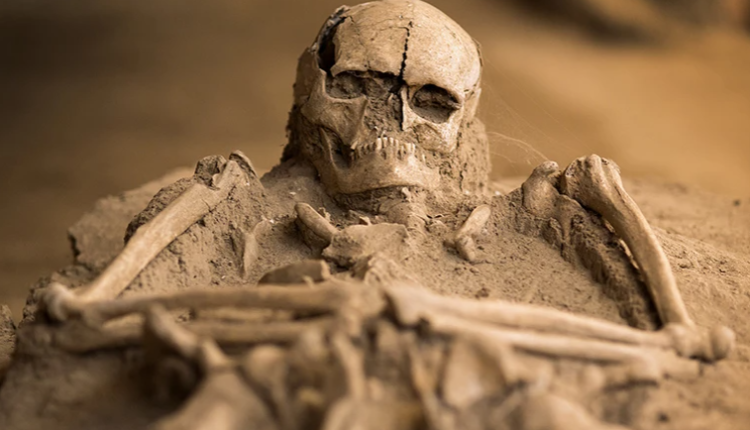 Teknika e re e analizës së kockave zbulon shumë informacion për jetën e popujve të lashtë
