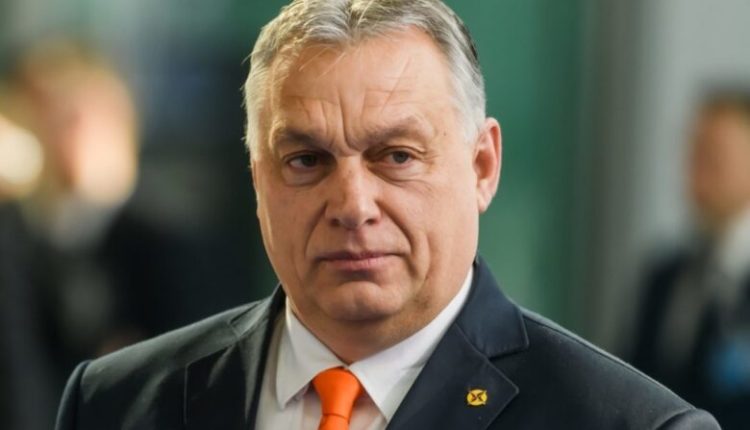Orban: Jemi në kontakt me Turqinë lidhur me anëtarësimin e Suedisë në NATO