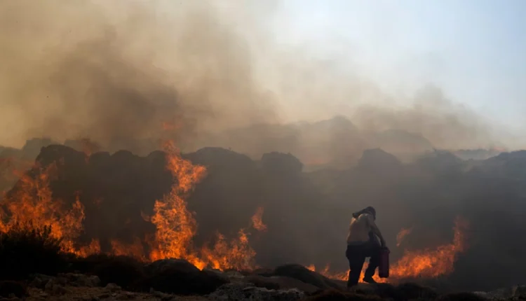 Greqia vazhdon luftën me flakët! Një zjarr i madh shkatërron pyjet në kufirin verilindor me Turqinë, 8 fshatra të evakuuar