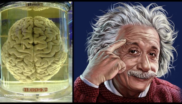 Në kërkim të “gjurmëve” të gjeniut, si e vodhi patologu Thomas Harvey trurin e Ajnshtajnit