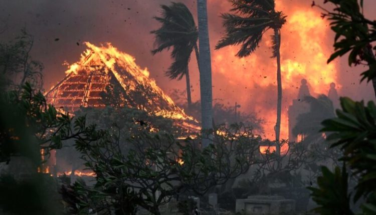 Zjarret në Hawaii/ Të mbijetuarit tregojnë tmerrin: Një copë kompensate na shpëtoi jetën
