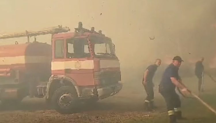 Zjarri në hyrje të Vlorës, zjarrfikësit prej disa orësh ‘në luftë’ me flakët, digjen disa mjete të rënda, rrezikohen edhe bizneset (VIDEO)