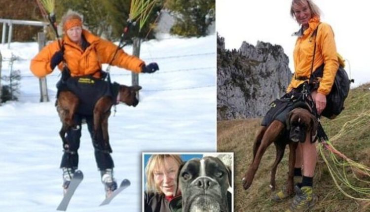 Një gjyshe ka arritur të realizojë me sukses 500 kërcime me parashutë dhe atë me qenin e saj