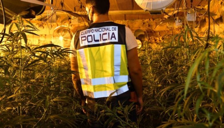 Europol godet grupin kriminal të drejtuar nga shqiptarë! 65 mln euro transferta për të pastruar paratë e drogës