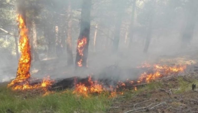 Zjarr në Shipkovicë, nuk ka të lënduar