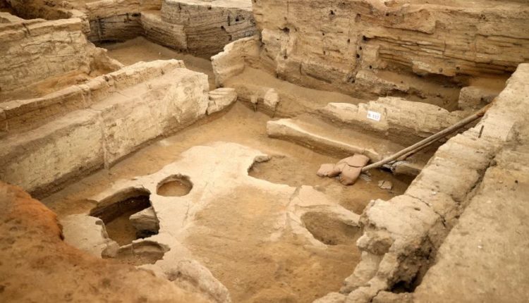 “Buka më e vjetër në botë”, 8600 vjeçare, u zbulua në Turqi