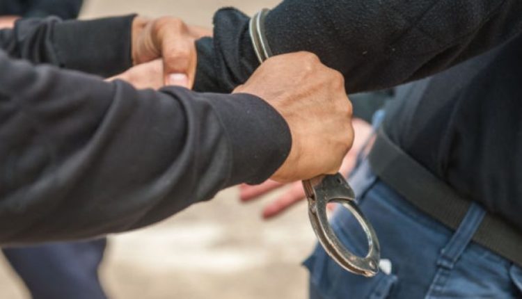 Arrestohet për vjedhjen e disa bagëtive 19 vjeçari nga Dobërdolli