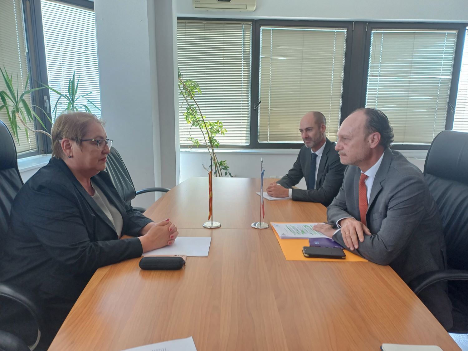Takimi i ministres Janevska me ambasadorin francez Baumgartner