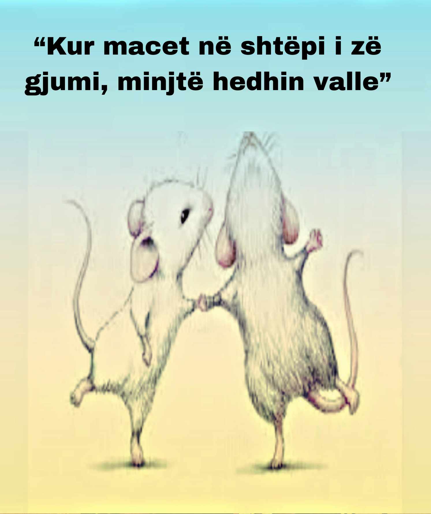 ‘Kur macet në shtepi i zë gjumi, minjtë hedin valle”!